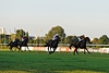 DSC00538.JPG