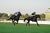 DSC00539.JPG