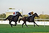 DSC00540.JPG