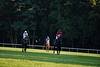 DSC00545.JPG