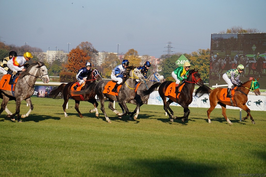 DSC00515.JPG