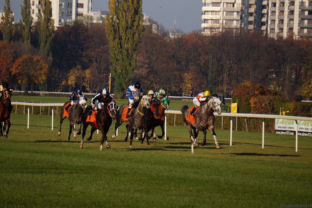 DSC00519.JPG
