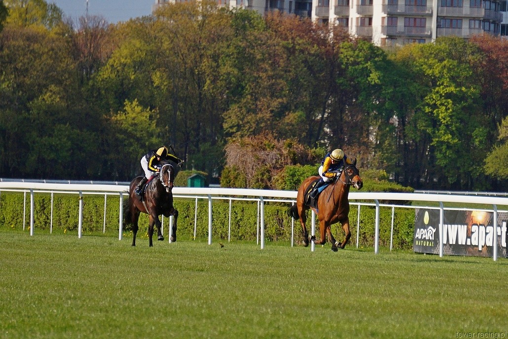 DSC00314.JPG