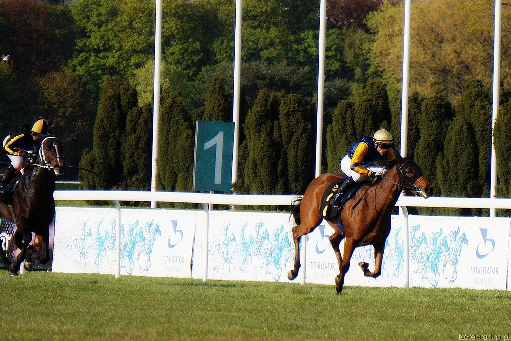 DSC00315.JPG