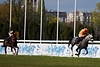 DSC00238.JPG