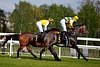 DSC00250.JPG