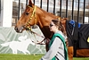 DSC00292.JPG