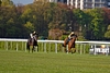 DSC00314.JPG