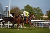DSC00323.JPG