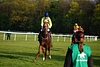 DSC00327.JPG