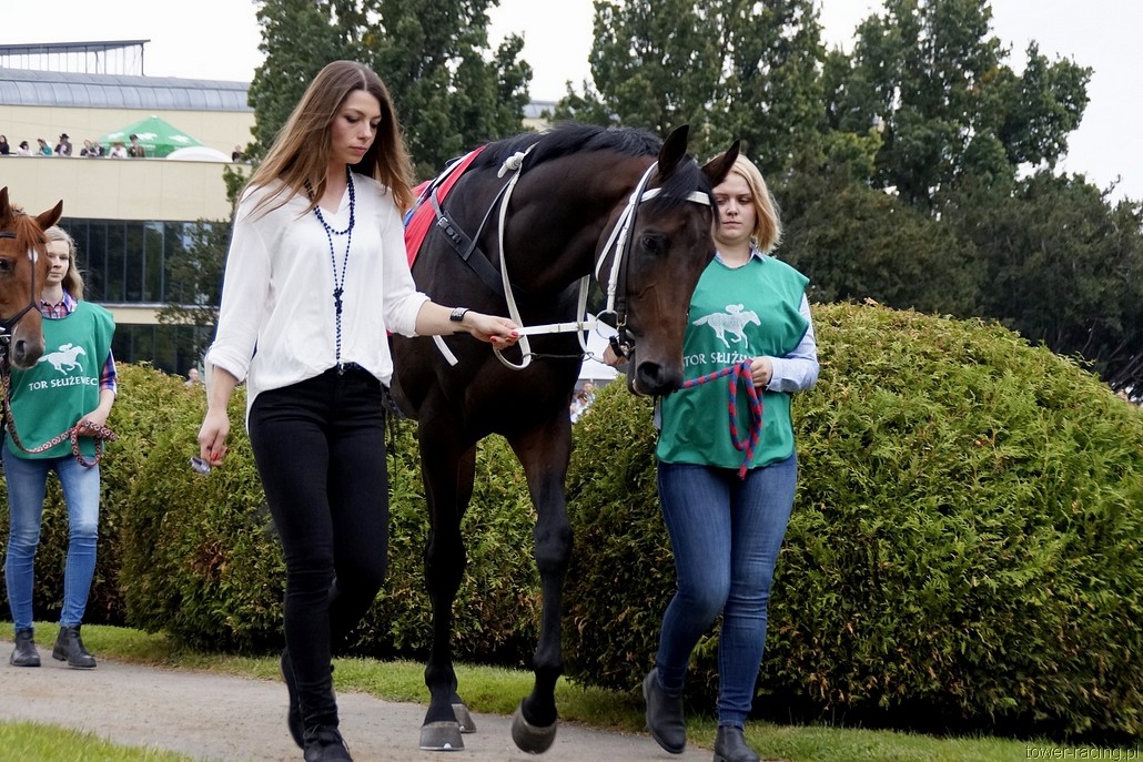 _DSC0454.JPG