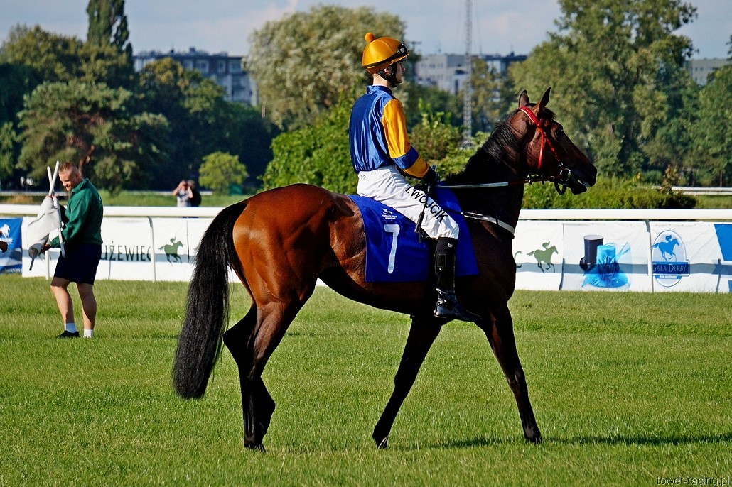 DSC00179.JPG