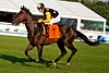 DSC00323.JPG