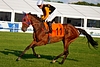 DSC00328.JPG