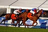 DSC00337.JPG