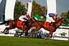 DSC00339.JPG