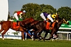 DSC00340.JPG