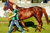 DSC00363.JPG