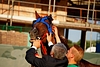 DSC00364.JPG