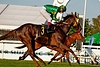 DSC00411.JPG