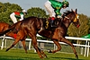 DSC00412.JPG