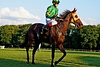 DSC00413.JPG
