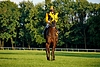 DSC00415.JPG