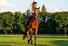 DSC00416.JPG