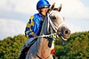DSC00419.JPG