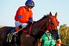 DSC00421.JPG