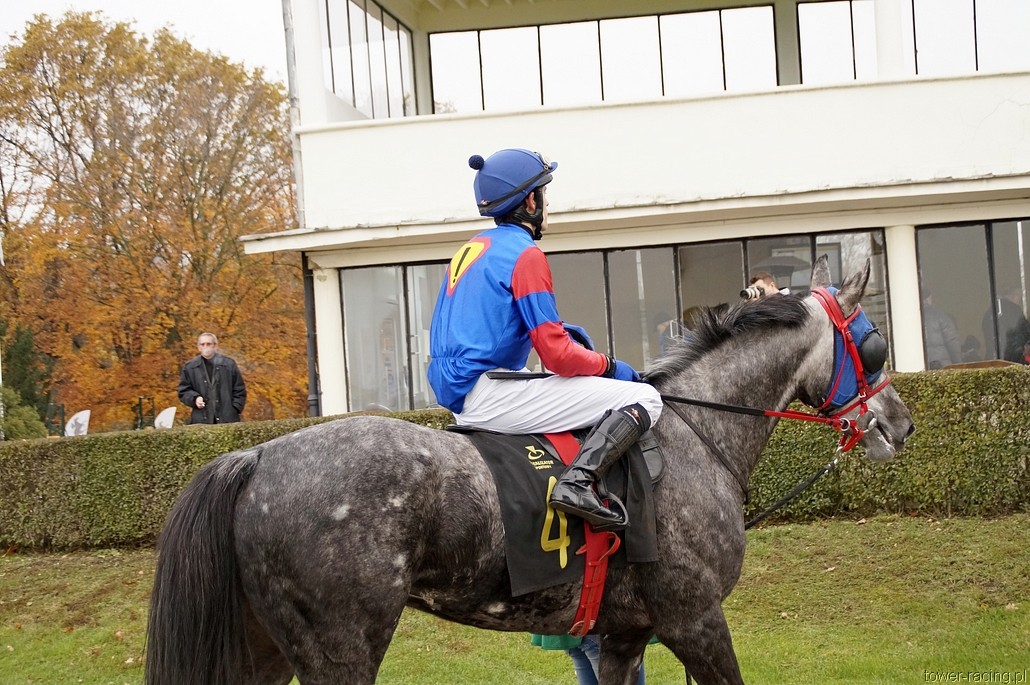 _DSC0155.JPG