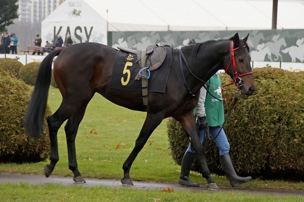 _DSC0005.JPG