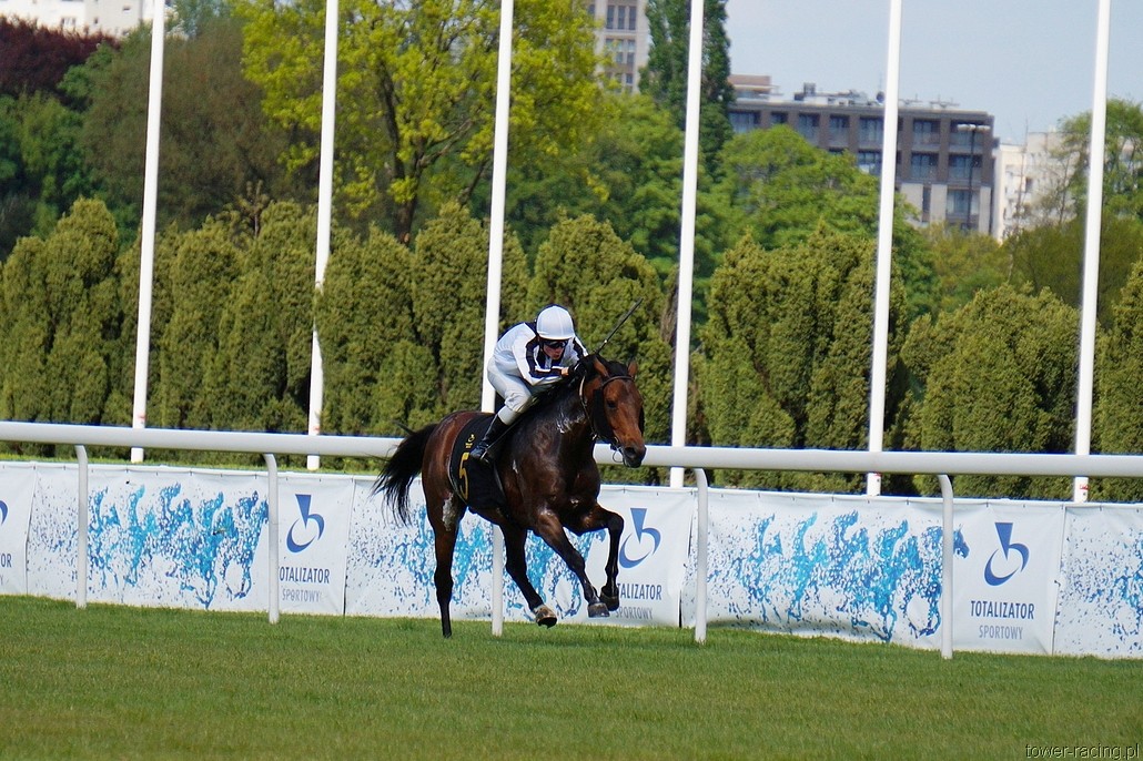 DSC00143.JPG