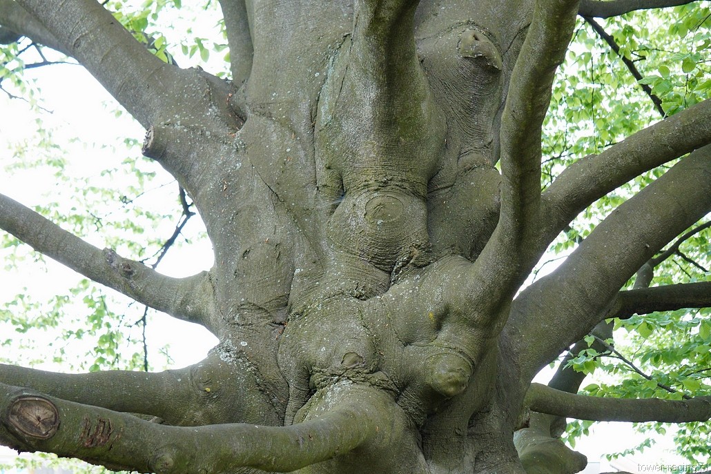 DSC00174.JPG