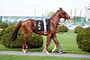 DSC00245.JPG