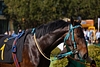 DSC00256.JPG