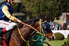 DSC00277.JPG