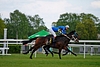 DSC00293.JPG