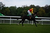 DSC00295.JPG