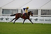 DSC00296.JPG