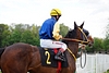 DSC00302.JPG