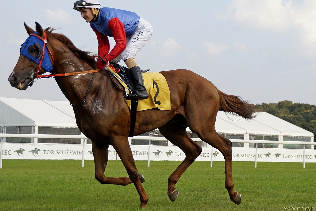 _DSC3318.JPG