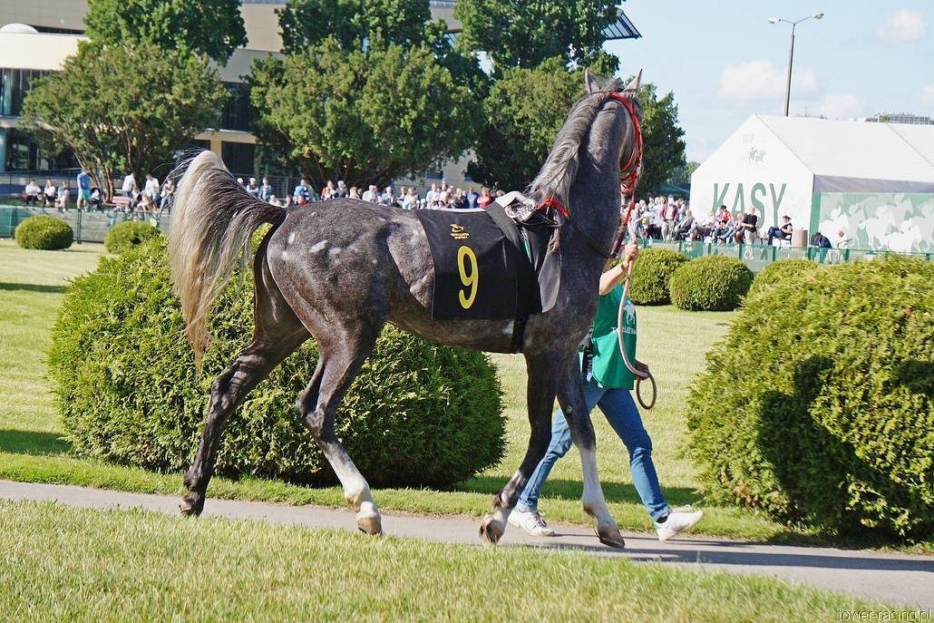 DSC00108.JPG
