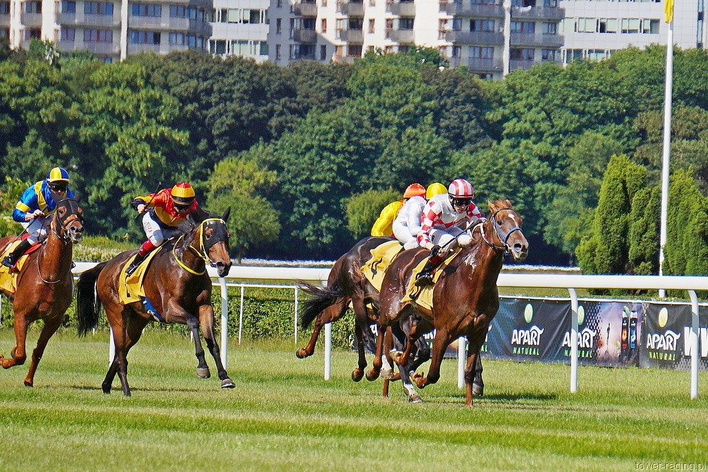 DSC00087.JPG