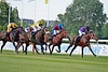 DSC00241.JPG