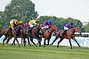DSC00242.JPG