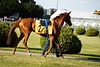 DSC00249.JPG