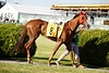 DSC00254.JPG