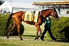 DSC00255.JPG