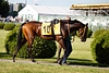 DSC00256.JPG